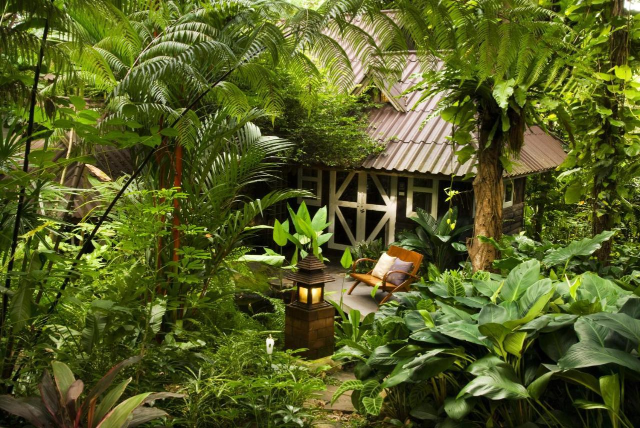 Rain Forest Resort Ban Pak Yang Eksteriør bilde